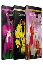 Micropropagation of Orchids, 3 Volume Set by Tim Wing Yam, Joseph Arditti, 1119187052