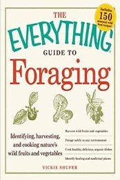 The Everything Guide to Foraging: Identifying, Harvesting by Vickie Shufer, 1440512760