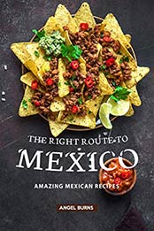 The Right Route to Mexico by Angel Burns
