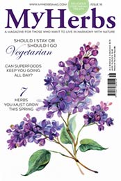 My Herbs [Issue 16, Spring 2020, Format: PDF]