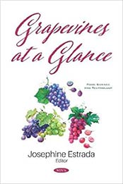 Grapevines at a Glance by Josephine Estrada