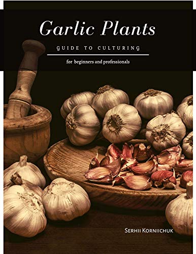 Garlic Plants by Serhii Korniichuk