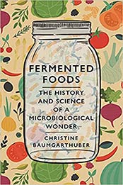 Fermented Foods by Christine Baumgarthuber