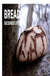 Bread edition 10 Jarkko Laine [PDF: N/A]