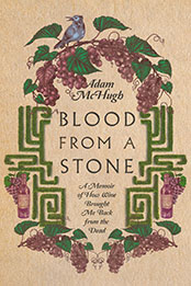 Blood From a Stone by Adam S. McHugh [EPUB: 1514000881]