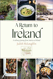 A Return to Ireland by Judith McLoughlin [EPUB: 1578269350]