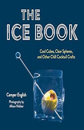 The Ice Book by Camper English [EPUB: 1684352053]