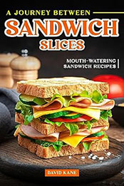 A Journey Between Sandwich Slices by David Kane [EPUB: B0CDRQX5M6]