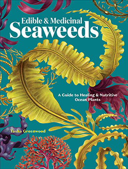 Edible & Medicinal Seaweeds by Tasha Greenwood