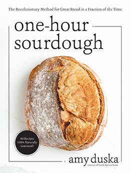 One-Hour Sourdough by Amy Duska